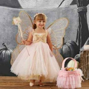 Butterfly Fairy Costume